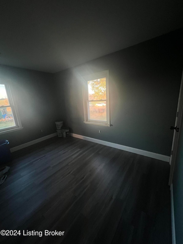 spare room with dark wood-type flooring