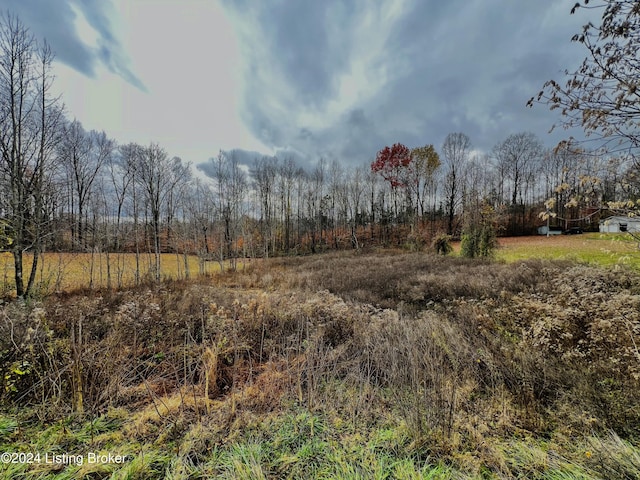 22 Hickory Ln, Russell Springs KY, 42642 land for sale