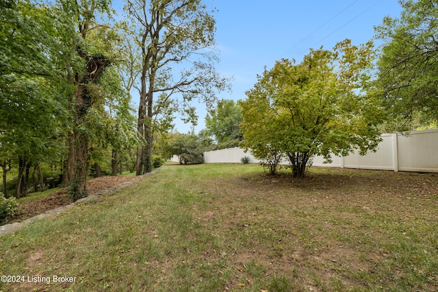 view of yard