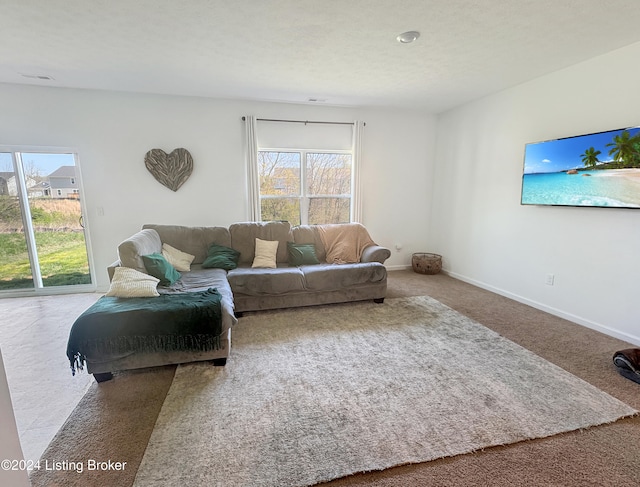 carpeted living room featuring a healthy amount of sunlight