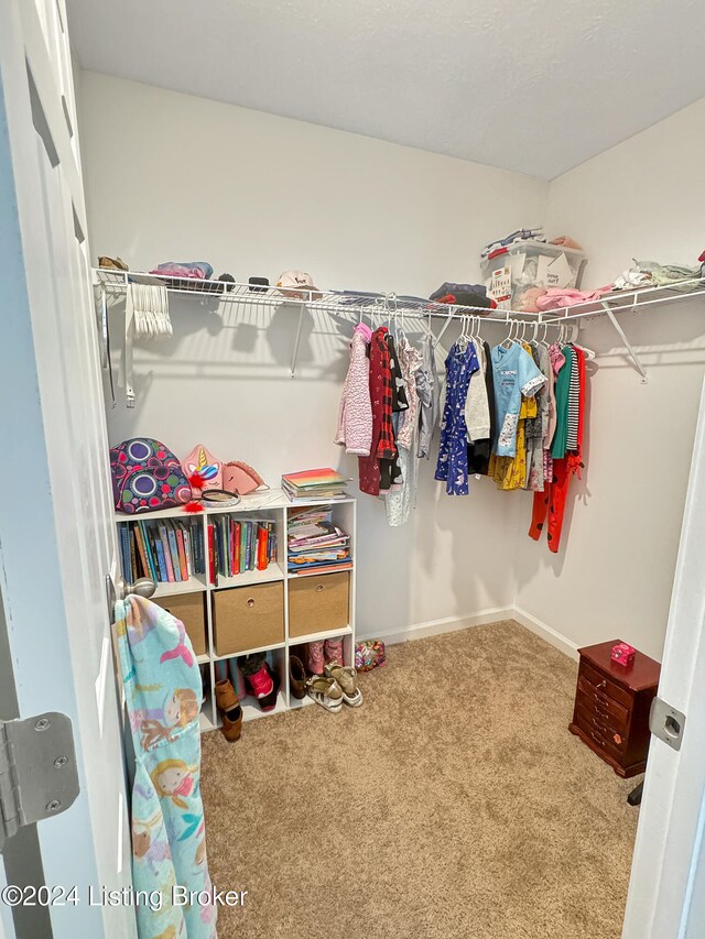 spacious closet with carpet flooring