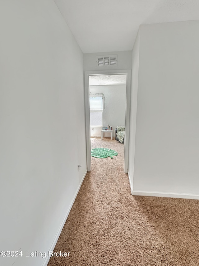 hallway with carpet