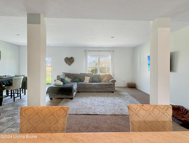 carpeted living room with a textured ceiling