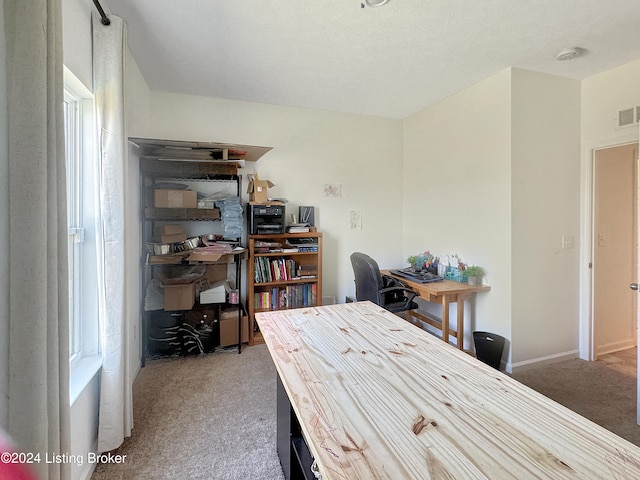 view of carpeted home office