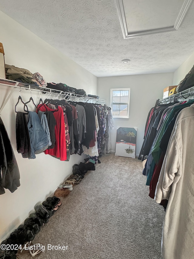 spacious closet featuring carpet floors