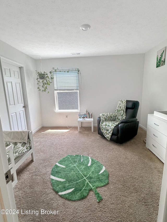 living area featuring carpet and a textured ceiling