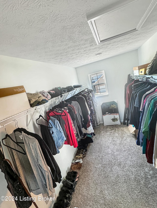 spacious closet featuring carpet floors