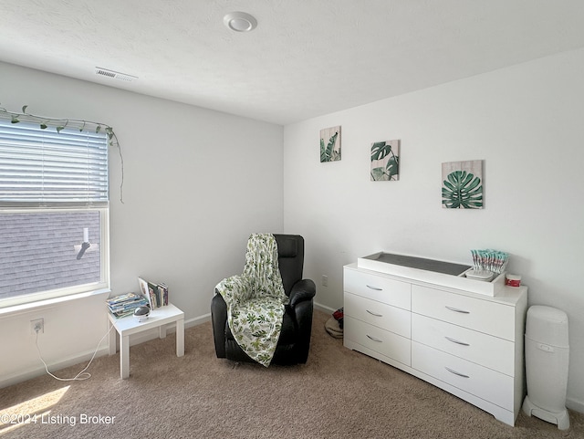 sitting room featuring carpet floors