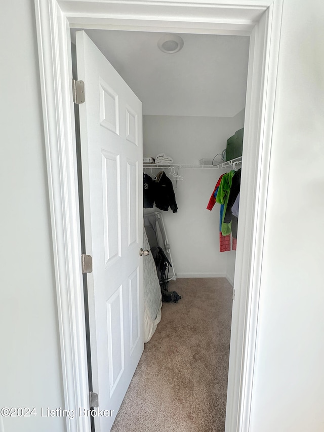 walk in closet with light colored carpet