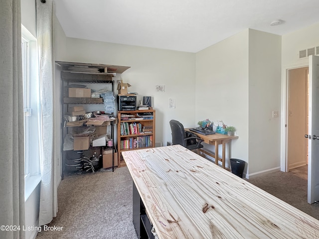 view of carpeted home office