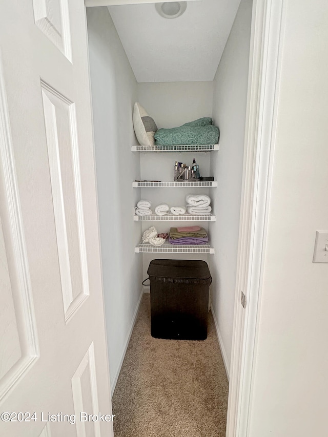 spacious closet with carpet