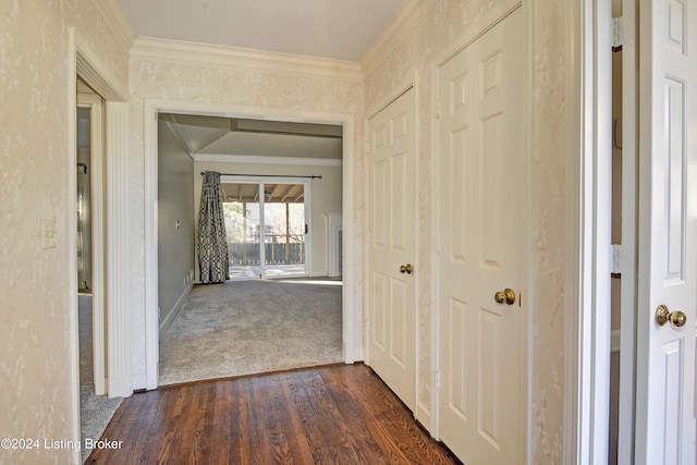 corridor featuring crown molding and dark wood-type flooring