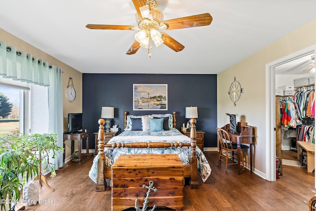 bedroom featuring a closet, hardwood / wood-style floors, ceiling fan, and a walk in closet