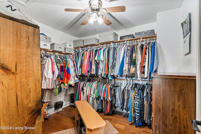 walk in closet with ceiling fan and hardwood / wood-style floors