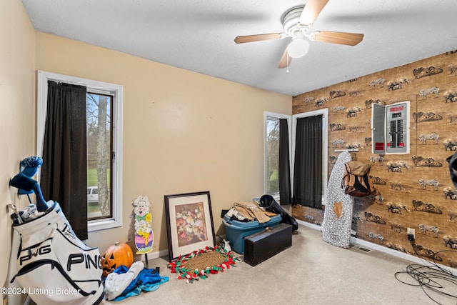 rec room featuring ceiling fan, plenty of natural light, carpet floors, and a textured ceiling