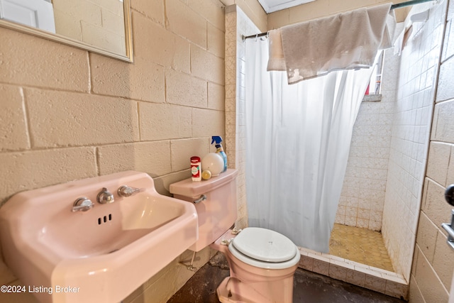 bathroom with toilet, sink, and walk in shower