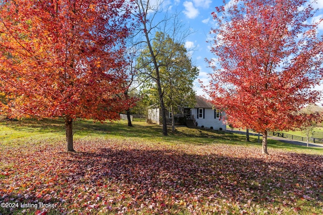 view of yard featuring a rural view