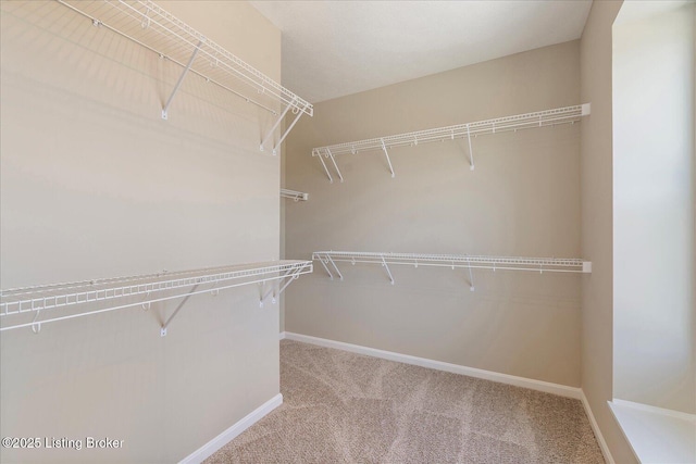 10020 Windcrest Farms Ln, Louisville, KY 40291 - photo 22
