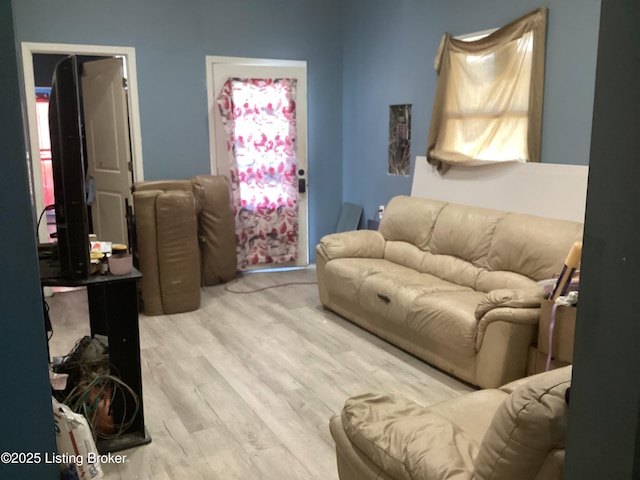 living room with light wood-type flooring