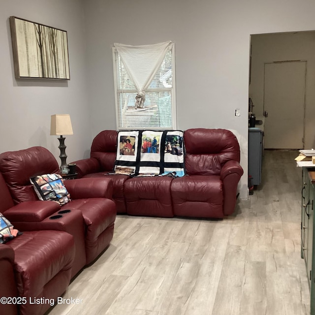 living room with wood finished floors