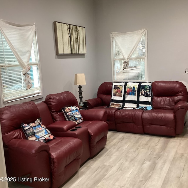 living room with wood finished floors