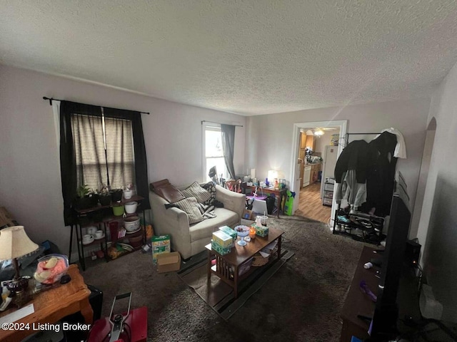 living room with light wood-type flooring and a textured ceiling