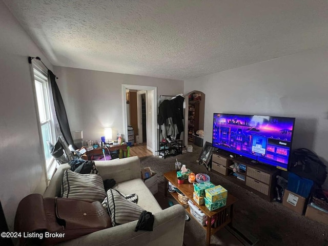 living room featuring a textured ceiling