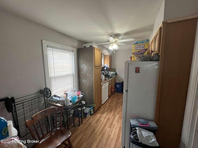 kitchen featuring ceiling fan, white appliances, and light hardwood / wood-style flooring