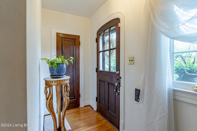 foyer entrance with light hardwood / wood-style flooring and a wealth of natural light