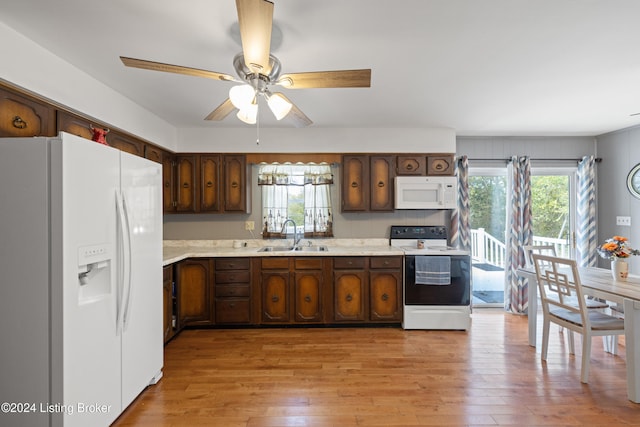 kitchen featuring white appliances, light hardwood / wood-style floors, a healthy amount of sunlight, and sink