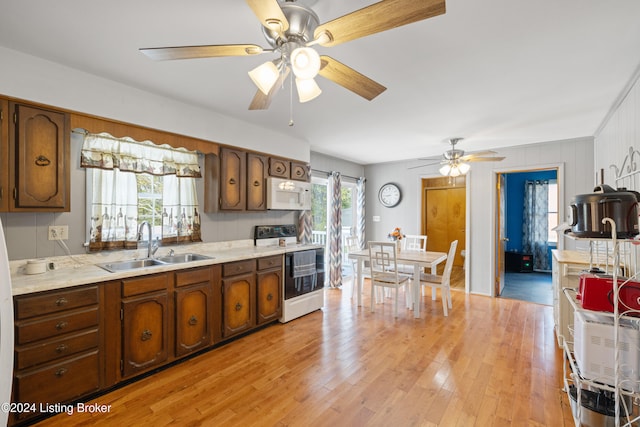 kitchen featuring ceiling fan, sink, light hardwood / wood-style floors, and white appliances