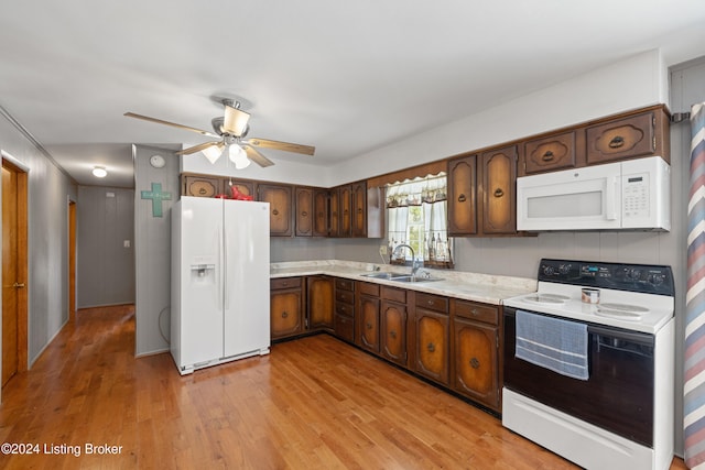 kitchen with white appliances, sink, ceiling fan, dark brown cabinets, and light hardwood / wood-style floors