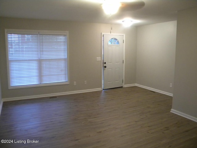 entryway with dark hardwood / wood-style flooring