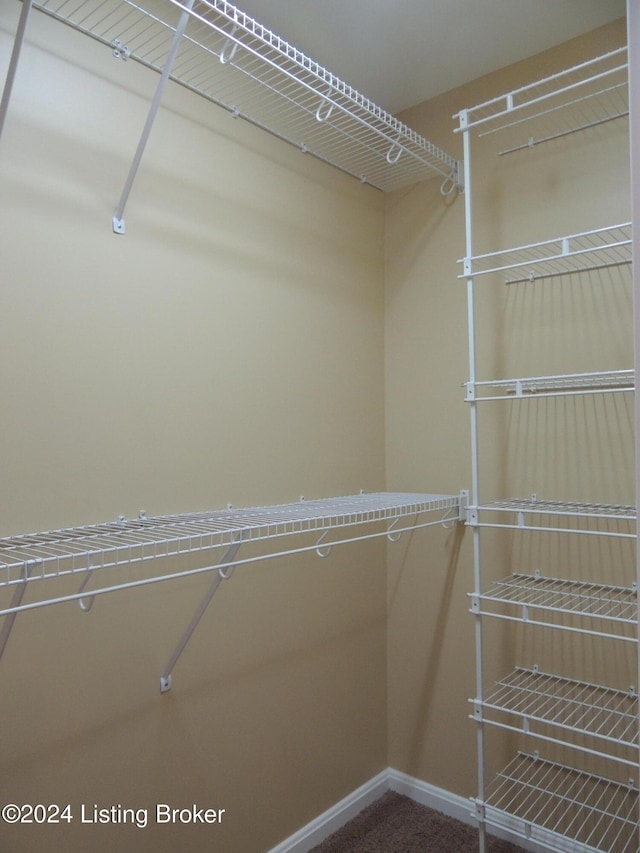 view of walk in closet