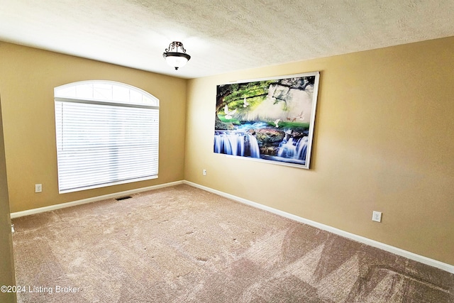 spare room with carpet floors and a textured ceiling