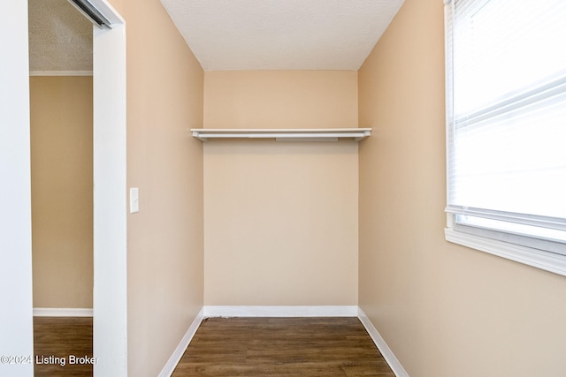 spacious closet featuring dark hardwood / wood-style flooring