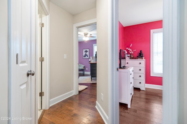 hall featuring dark hardwood / wood-style floors