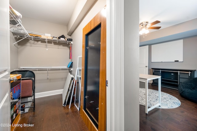 spacious closet featuring ceiling fan and dark hardwood / wood-style flooring