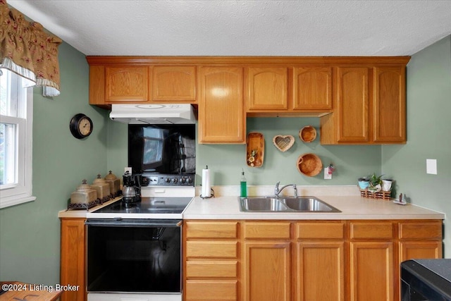 11487 Skyline Dr, Louisville, KY 40229 - photo 13