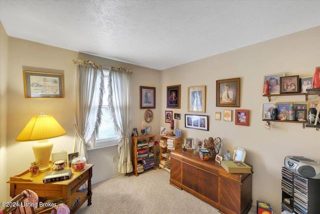 11487 Skyline Dr, Louisville, KY 40229 - photo 21