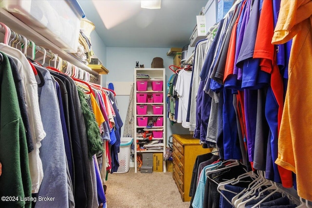 spacious closet with carpet flooring