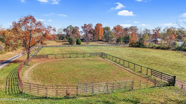 view of yard with a rural view