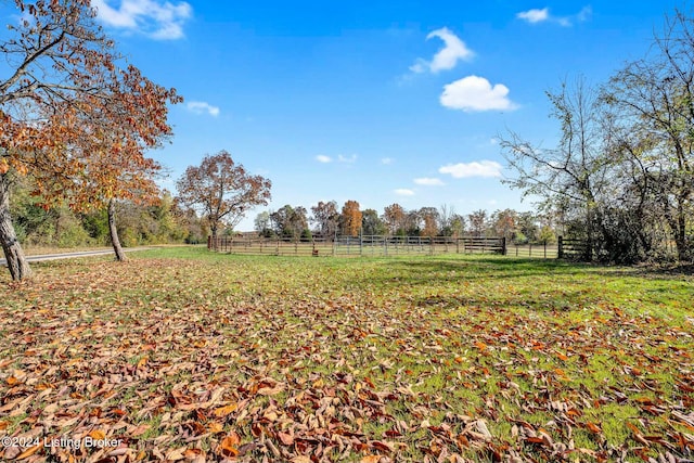 view of yard featuring a rural view