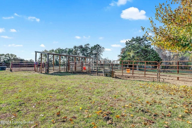 view of yard featuring a rural view