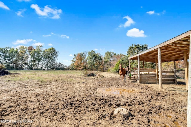 view of yard featuring a rural view and an outbuilding