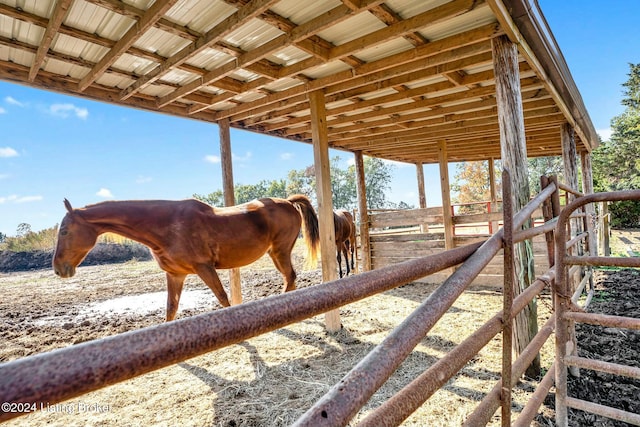 view of horse barn