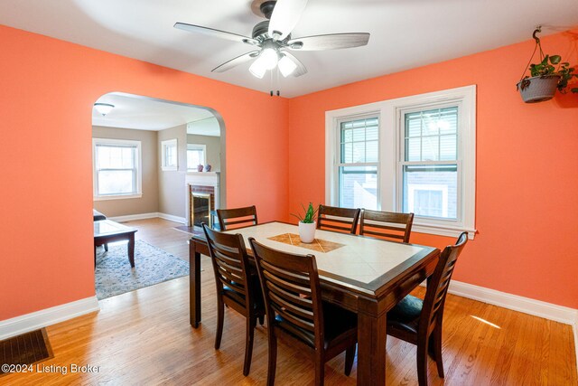 dining room featuring ceiling fan, light hardwood / wood-style flooring, and a brick fireplace