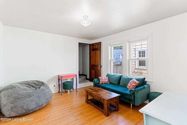 living room featuring light hardwood / wood-style flooring