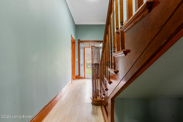 hallway featuring hardwood / wood-style floors and crown molding