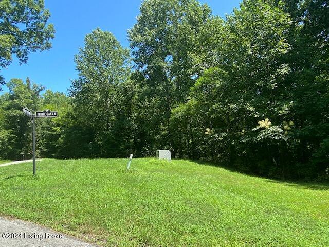 17 Tulip Poplar Ln, Leitchfield KY, 42207 land for sale